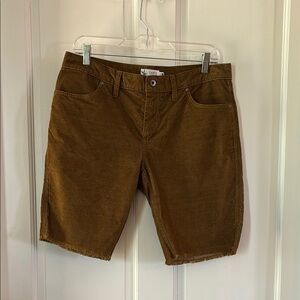 Carve Designs Brown Women Shorts